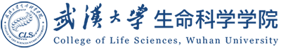 yl6776永利集团官网